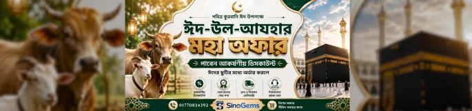 01770834392-685-x-162-px